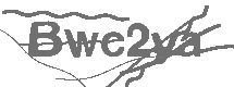 CAPTCHA Image