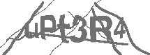 CAPTCHA Image