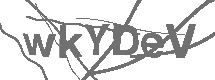 CAPTCHA Image