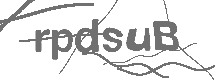 CAPTCHA Image