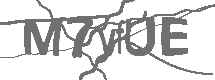 CAPTCHA Image