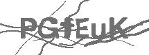 CAPTCHA Image