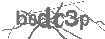 CAPTCHA Image