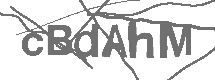 CAPTCHA Image