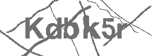 CAPTCHA Image