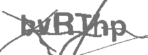 CAPTCHA Image