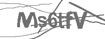 CAPTCHA Image