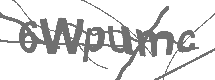 CAPTCHA Image