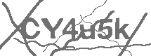 CAPTCHA Image