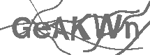 CAPTCHA Image