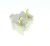 Intrerupatoare Push Switch ,potrivit(a) pentruCXP1510001 4300100000