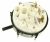 Intrerupatoare Push Switch ,potrivit(a) pentruAP541 4300100000