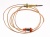 Intrerupatoare Push Switch ,potrivit(a) pentruPCL785FIT07 4300100000
