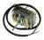 EA27 07.340.50C 91943681 MOTOR VENTILATOR