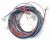 C00093717 482000077981 WIRING EVA + MV + NTCAS 240000700F0
