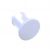 C00114784 482000028783 BUSON ALB POLAR (BUSSOLINA H.14 D.13,8/9,