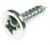 Surub ,potrivit(a) pentruAC135M31W 5401000000