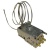 4296551700 C00904818 TERMOSTAT (GE,T229A189)