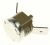 Termostate ,potrivit(a) pentruQSD0712BL 4820000000