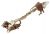 Comutatoare Rotative ,potrivit(a) pentruK24D1134VM 4300300000