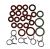 SET O-RING PENTRU PASSEND FÜR DELONGHI ECAM/ETAM
