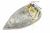 996510077405 SOLEPLATE ASM NTC ASSY