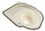 Carcase ,potrivit(a) pentruDP1E82IG 5206200000