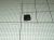 Intrerupatoare Push Switch ,potrivit(a) pentruOTC6211B 4300100000