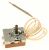 819653 TERMOSTAT C549012A